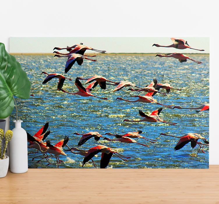 Quadro de pássaros flamingos em voo - TenStickers