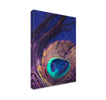 Quadro Decorativo de penas Plumas multicoloridos - TenStickers