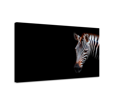 Quadro de animais Arte pop - TenStickers