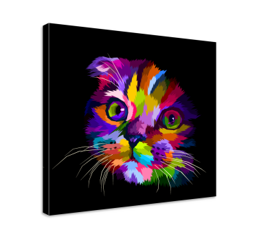 Quadro Decorativo de gatos Gato arco-íris pintado - TenStickers