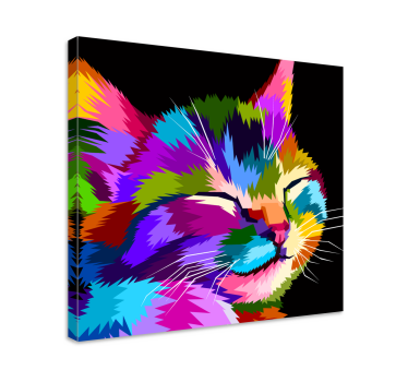 Quadro Decorativo de gatos Gato arco-íris - TenStickers