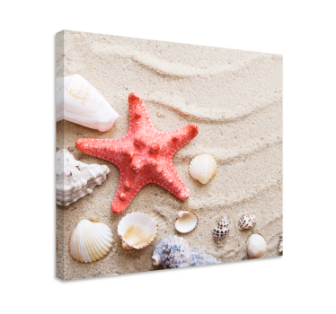 Quadro de animais Estrela do mar e conchas na areia - TenStickers