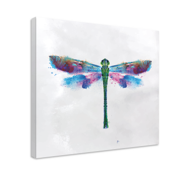 Quadro de libélulas com design colorido - TenStickers