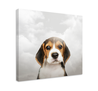Quadro de cães retrato de beagle - TenStickers