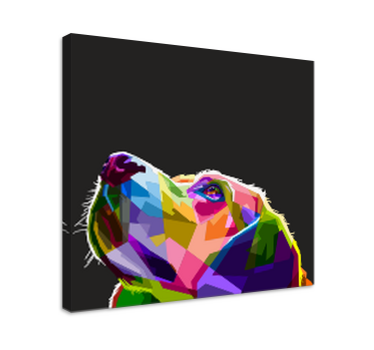 Quadro Decorativo de cães cão arco-íris - TenStickers