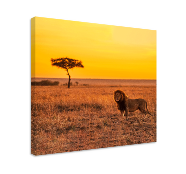 Quadro de animais árvore de savana selvagem à noite - TenStickers