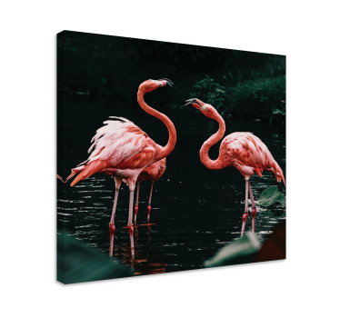 Quadro de animais Casal de flamingos - TenStickers