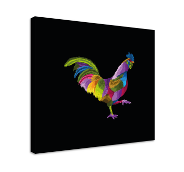 Quadro de pássaros desenho de galo colorido - TenStickers