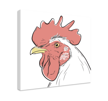 Quadro de pássaros retrato detalhado de galo - TenStickers