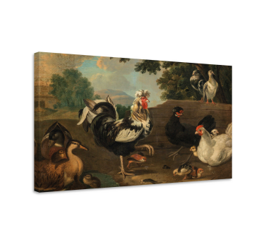 Quadro de pássaros com galos na fazenda - TenStickers
