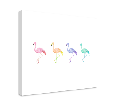 Quadro de pássaros coleção de flamingos diversos - TenStickers