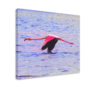 Quadro de peixes flamingo em voo - TenStickers