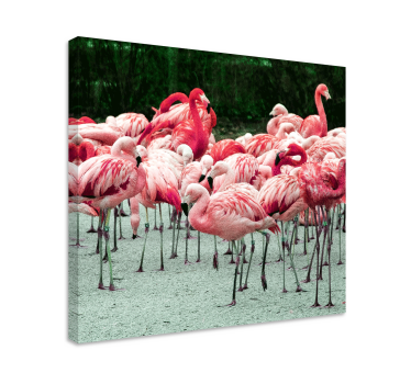 Quadro de pássaros com bando de flamingos - TenStickers