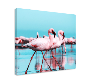 Quadro de pássaros flamingos cor-de-rosa majestosos - TenStickers