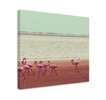 Quadro de pássaros flamingos perto da água - TenStickers