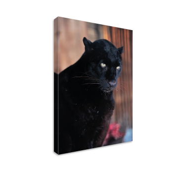 Quadro em 3D Perseguição de leopardo - TenStickers