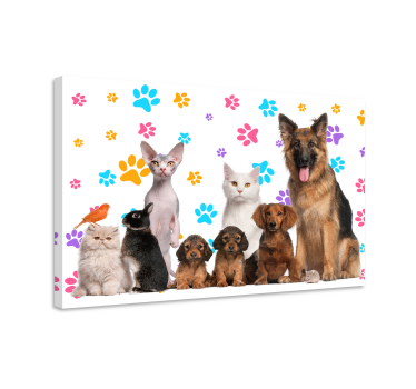 Quadro de animais Cachorros e gatos - TenStickers