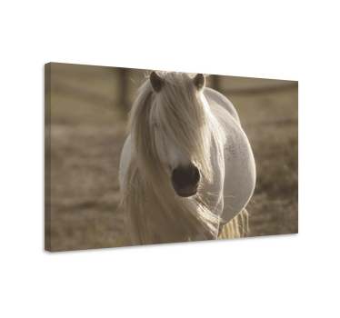 Quadro Decorativo de cavalos retrato equino majestoso - TenStickers