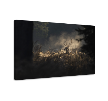 Quadro com veados contorno de veado regal - TenStickers