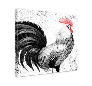 Quadro Decorativo de pássaros Galo preto e vermelho - TenStickers