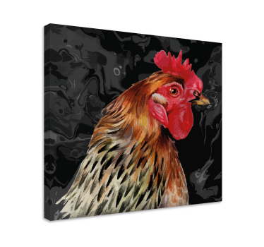 Quadro Decorativo de pássaros Galo multicolor em fundo preto - TenStickers