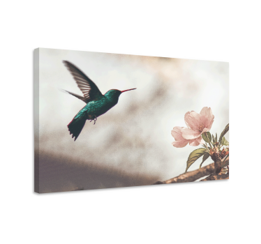 Quadro Decorativo de arte Conjunto de vetores de flores e pássaro - TenStickers
