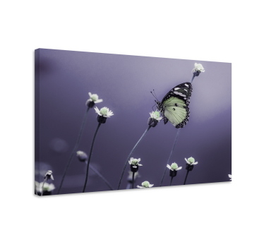 Quadro de borboletas borboleta entre flores - TenStickers