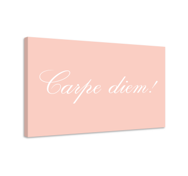 Quadro com letras aproveite o dia motivação - TenStickers