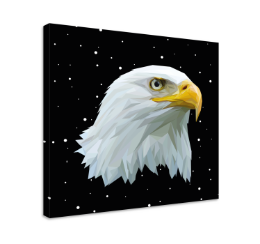 Quadro Decorativo de pássaros Animais geométricos águia poderosa - TenStickers