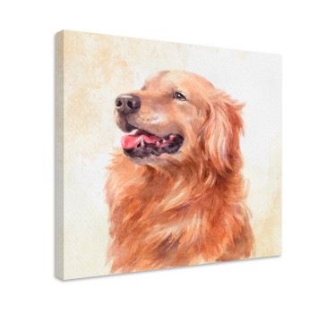 Quadro de cães ilustração de golden retriever - TenStickers