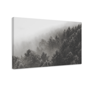 Quadro em 3D Floresta com pinheiros brancos - TenStickers