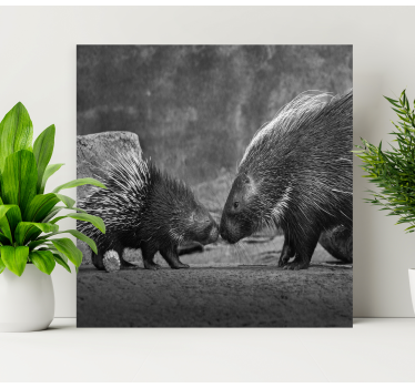 Quadro animais interação com porco-espinho - TenStickers