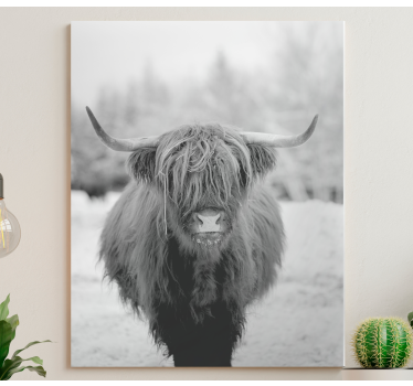 Quadro animais retrato de vaca das terras altas - TenStickers