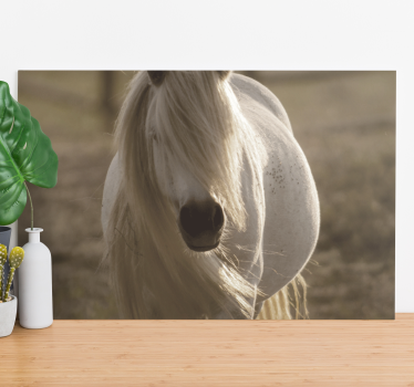 Quadro Decorativo de cavalos retrato equino majestoso - TenStickers