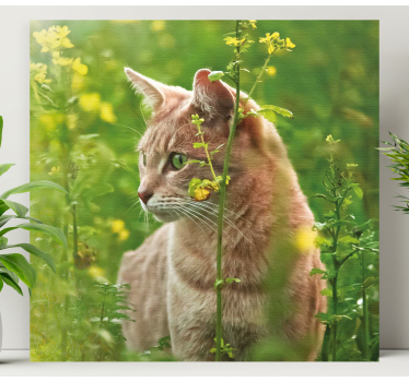 Quadro com gatos passeando curiosos - TenStickers