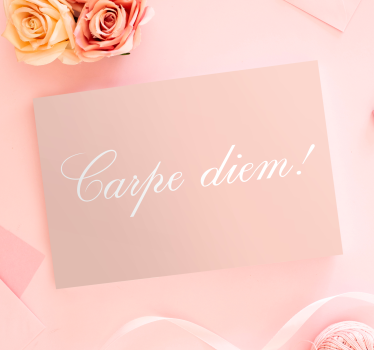Quadro com letras aproveite o dia motivação - TenStickers