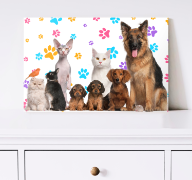 Quadro de animais Cachorros e gatos - TenStickers