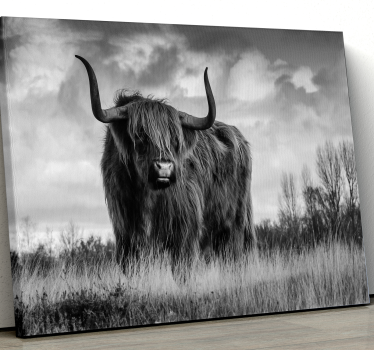 Quadro de animais Gado preto e branco das montanhas - TenStickers