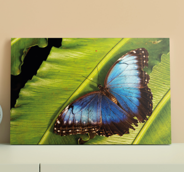 Quadro de borboletas borboleta na folha - TenStickers