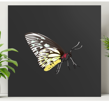 Quadro de borboletas perfil de borboleta elegante - TenStickers