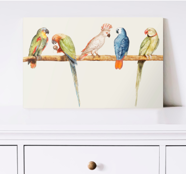 Quadro de pássaros coleção de papagaios coloridos - TenStickers
