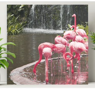 Quadro de pássaros flamingos em grupo na piscina - TenStickers