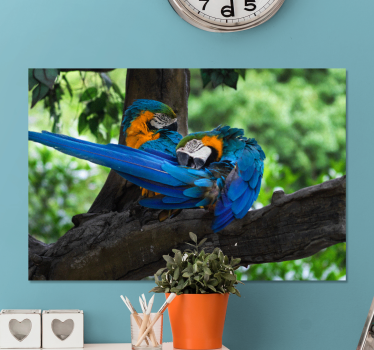 Quadro de cães par de papagaios coloridos - TenStickers