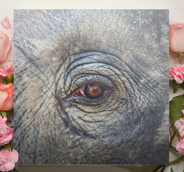 Quadro de elefantes detalhe do olho do elefante - TenStickers