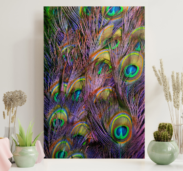 Quadro Decorativo de pássaros Pena de pavão - TenStickers