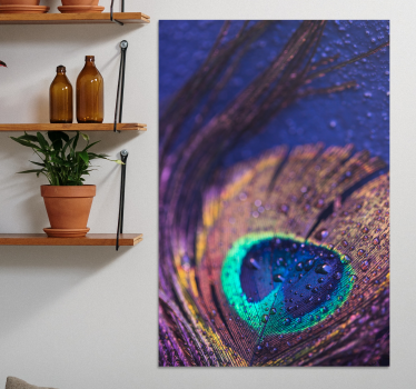 Quadro Decorativo de penas Plumas multicoloridos - TenStickers