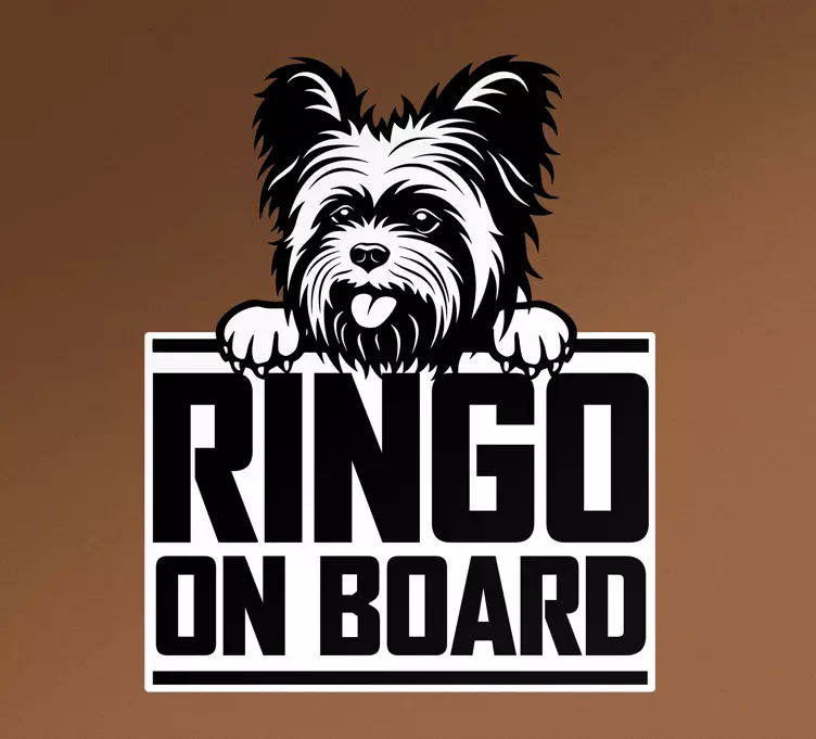 Autocolante para carros Belo cão yorkshire espiando - TenStickers