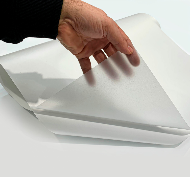 Adesivo para vidros translúcido Básico - TenStickers