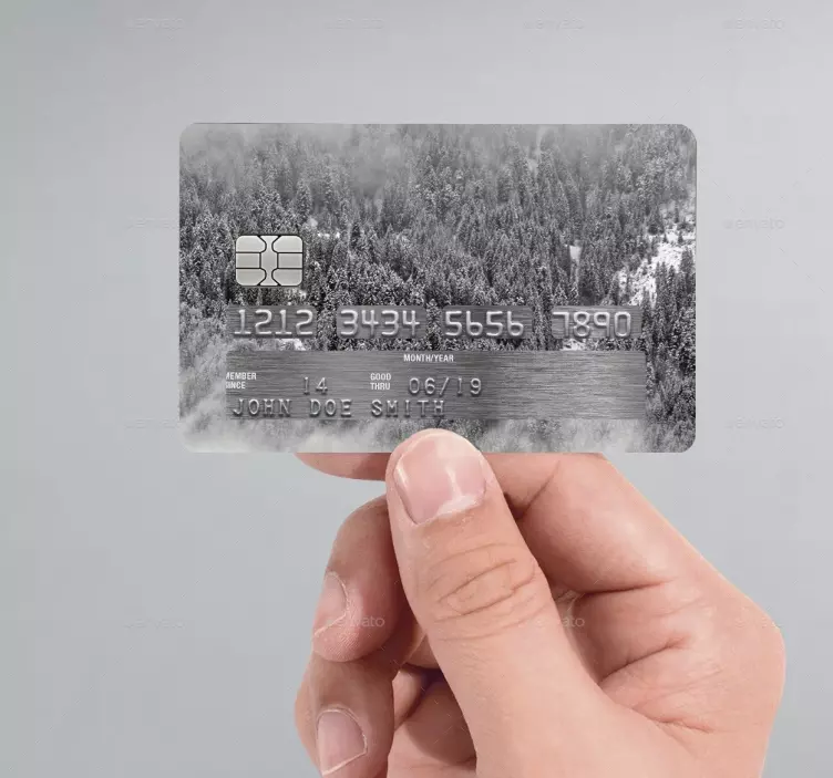 Autocolante cartão de crédito floresta neve - TenStickers