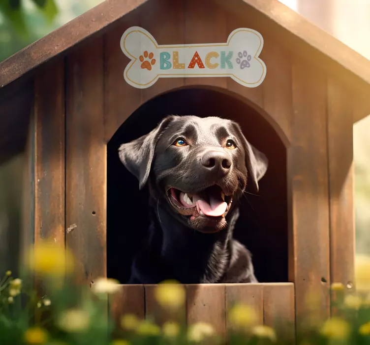 Autocolante nome da Casa do Cão - TenStickers